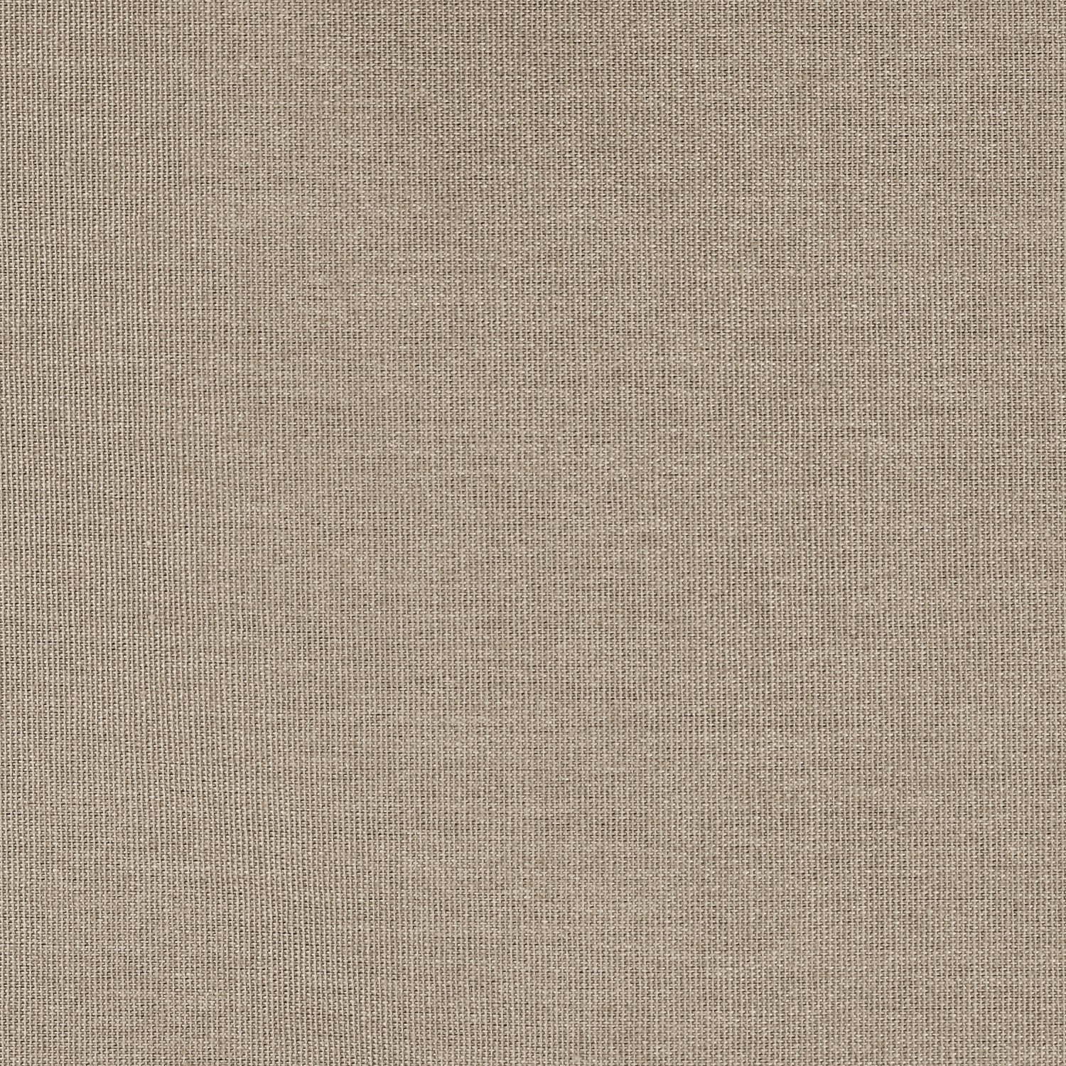 Women's Plain Front Shorts - Image 4