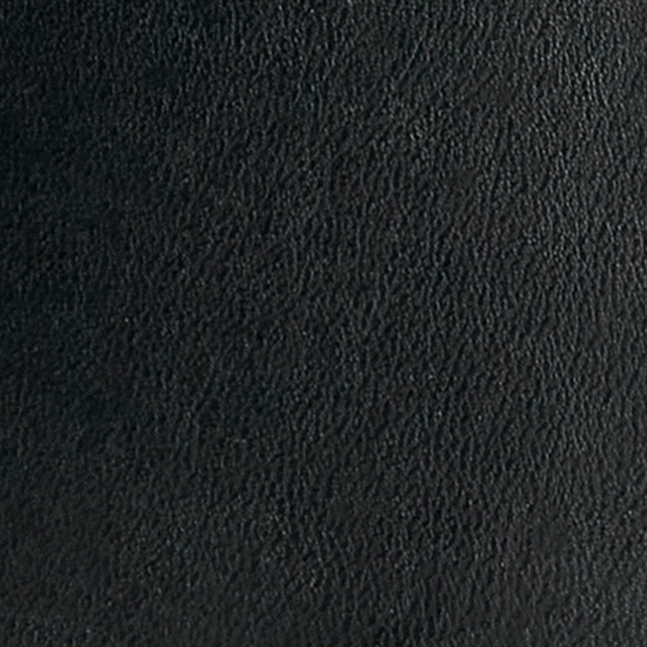 ZeroSkratch Leather Belt - Image 2